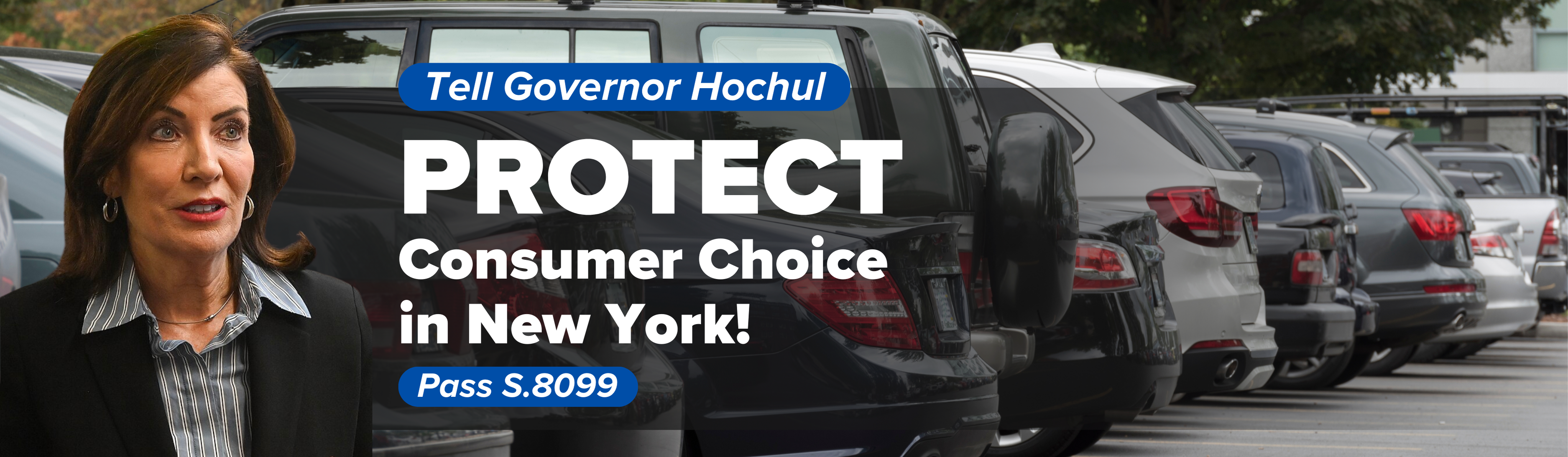 Protect Consumer Choice in New York